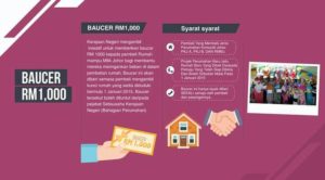 Baucer RMMJ