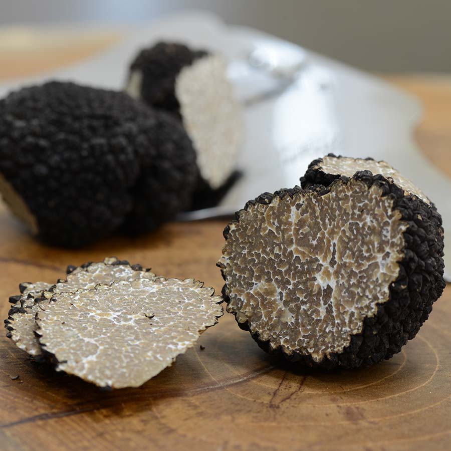 Gambar Black Truffle, sejenis cendawan mahal yang tumbuh di bawah tanah.