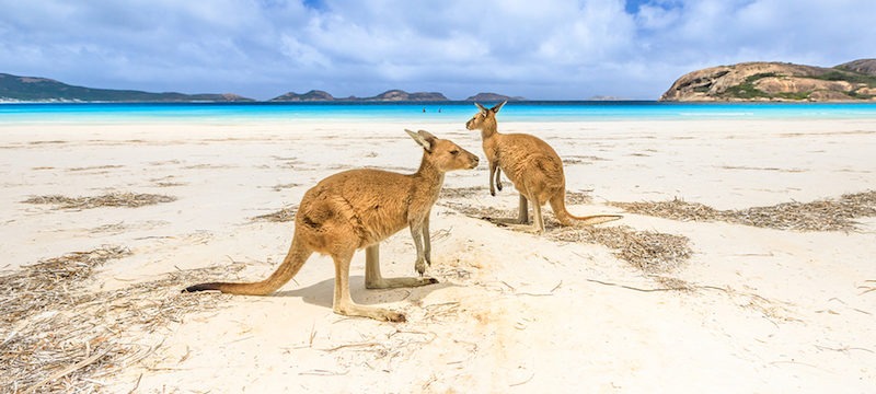 Pemandangan bandar Sydney, Australia sebagai panduan sebelum melancong.