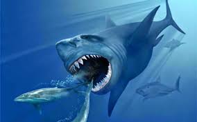Ilustrasi ikan jerung Megalodon, ikan pemangsa purba bersaiz gergasi.