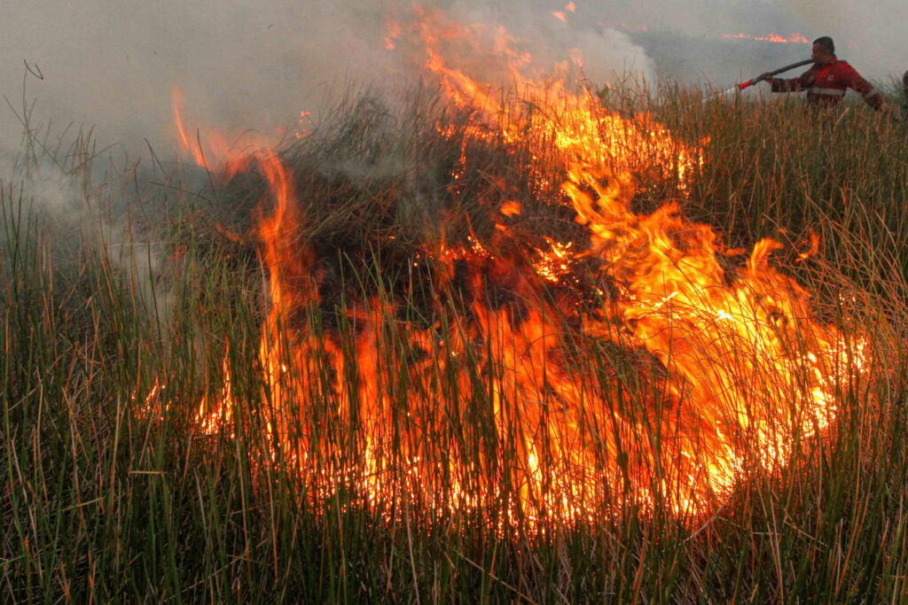 Kebakaran hutan menghasilkan asap tebal yang menyebabkan pencemaran udara