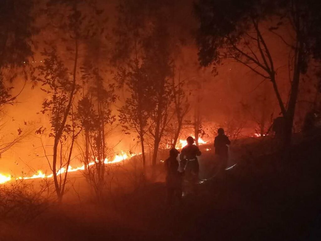 Kebakaran hutan yang mengeluarkan asap tebal ke udara.